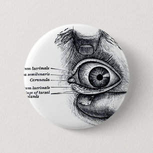 Macaron Rond 5 Cm L'anatomie du gris - globe oculaire