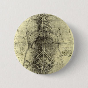 Macaron Rond 5 Cm L'anatomie humaine de Léonard de Vinci, Torse fémi