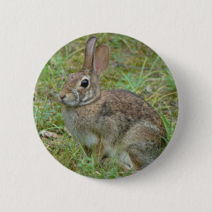 Macaron Rond 5 Cm Lapin sauvage Eastern Cottontail II Vêtements et C