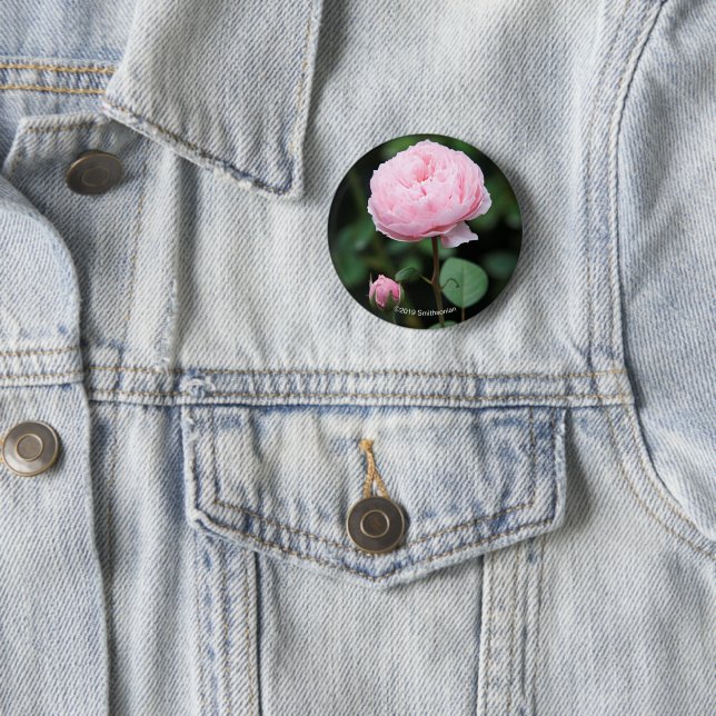 Macaron Rond 5 Cm Le château d'Alnwick s'est levé (En situation)