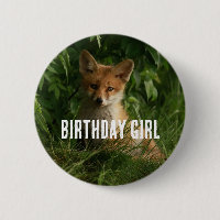 Le chou renard dans une forêt verte