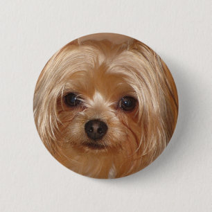 Macaron Rond 5 Cm Le fond de Yorkie