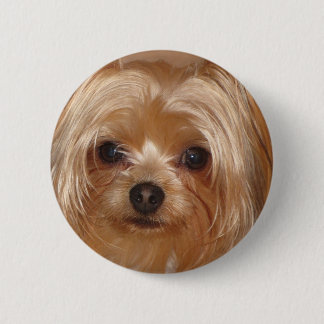 Macaron Rond 5 Cm Le fond de Yorkie