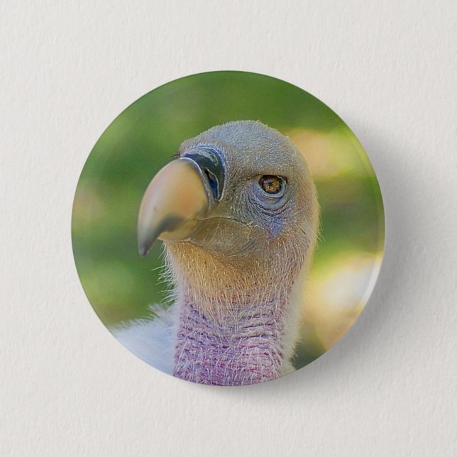Macaron Rond 5 Cm Le vautour Griffon de Rupell (Devant)