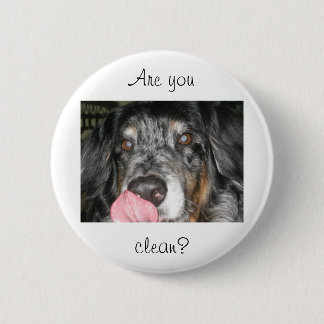Macaron Rond 5 Cm Lèchement du Pin de chien