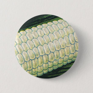 Macaron Rond 5 Cm Légumes alimentaires vintage Maïs blanc en épi