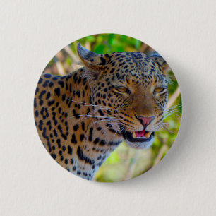 Macaron Rond 5 Cm Leopard tacheté