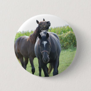 Macaron Rond 5 Cm Les amateurs de chevaux
