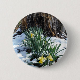 Macaron Rond 5 Cm Les jonquilles jaunes dans la neige