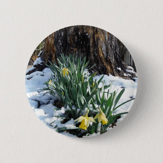 Macaron Rond 5 Cm Les jonquilles jaunes dans la neige (Devant)