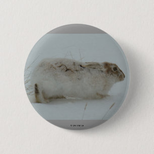 Macaron Rond 5 Cm Lièvre d'Amérique R7 prêt à courir