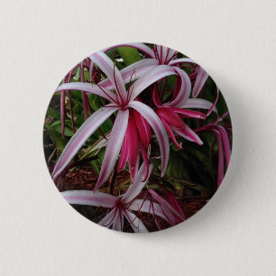 Macaron Rond 5 Cm Lily crinum pourpre de la reine Emma
