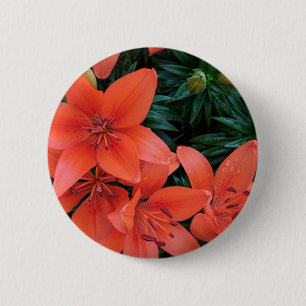 Macaron Rond 5 Cm Lily orange