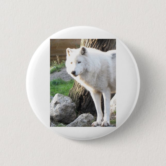 MACARON ROND 5 CM LOUP ARTIC (Devant)