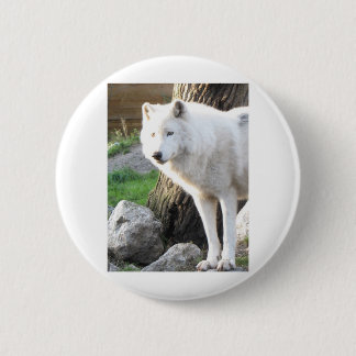 MACARON ROND 5 CM LOUP ARTIC