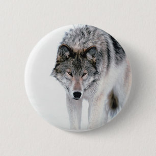 Macaron Rond 5 Cm Loup de vagabondage