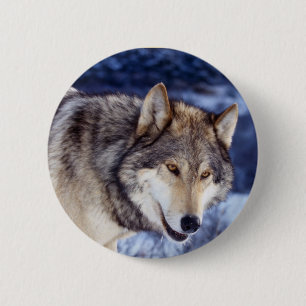 Macaron Rond 5 Cm Loup d'hiver 2