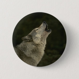 Macaron Rond 5 Cm Loup gris
