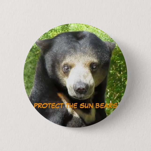 Macaron Rond 5 Cm L'ours de Sun teintent teintent le bouton (Devant)