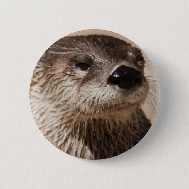 MACARON ROND 5 CM LOUTRE (Devant)