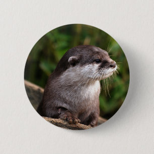 Macaron Rond 5 Cm Loutre grise mignonne