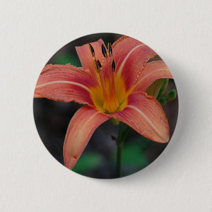 Macaron Rond 5 Cm Lovely Tawny Daylily Vêtements et cadeaux