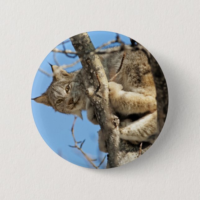 Macaron Rond 5 Cm Lynx espiègle (Devant)