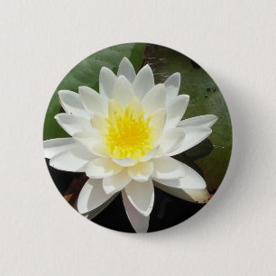 Macaron Rond 5 Cm Lys d'eau