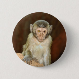Macaron Rond 5 Cm macaque