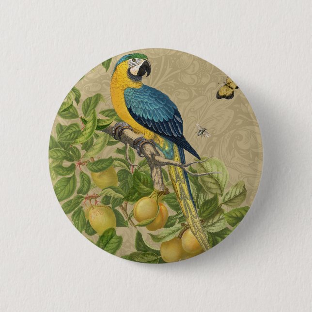 Macaron Rond 5 Cm Macaw Blue Jaune Tropical Jungle Antique (Devant)