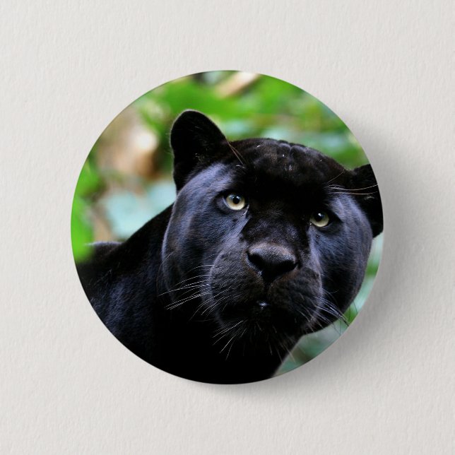 Macaron Rond 5 Cm Macro Black Panther (Devant)