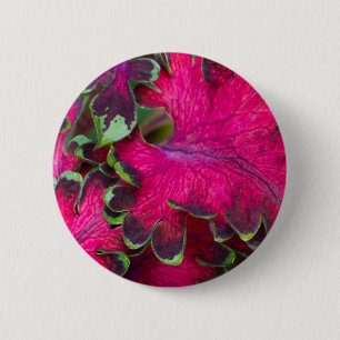 Macaron Rond 5 Cm Macro Coleus