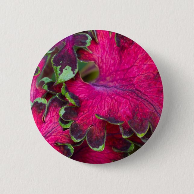 Macaron Rond 5 Cm Macro Coleus (Devant)