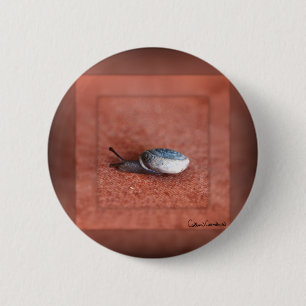 Macaron Rond 5 Cm Macro Photographie d'Escargot sur Terre Cuite