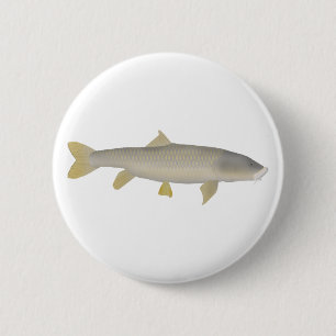 Macaron Rond 5 Cm Mahseer doré