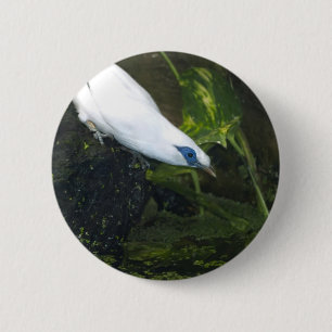 Macaron Rond 5 Cm Mainate de Bali