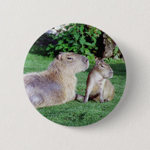 Macaron Rond 5 Cm Maman de Capybara et bouton de fils