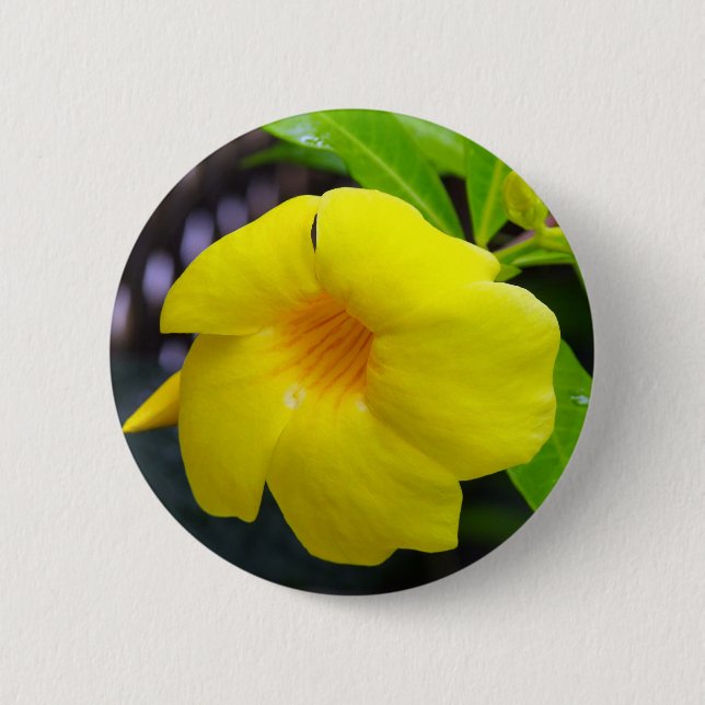 Macaron Rond 5 Cm Mandevilla jaune (Devant)