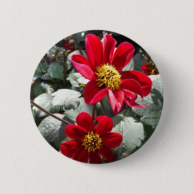 Macaron Rond 5 Cm marguerite rose chaud rouge / marguerites fleurs (Devant)