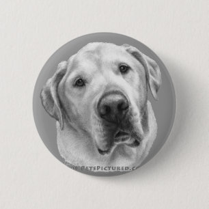 Macaron Rond 5 Cm Maxwell, mélange de Laboratoire-Pitbull