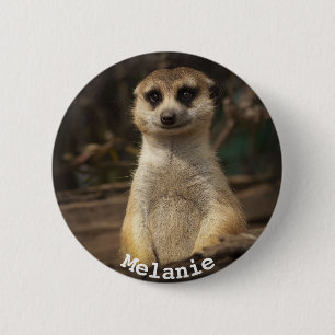 Macaron Rond 5 Cm Meerkat