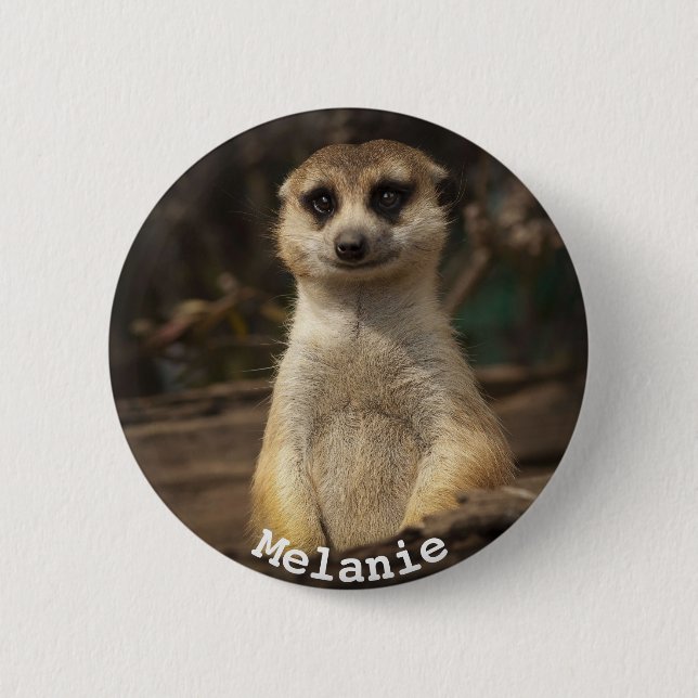 Macaron Rond 5 Cm Meerkat (Devant)