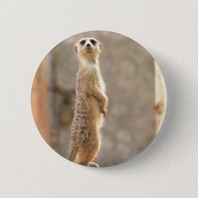 Macaron Rond 5 Cm Meerkat au bouton d'attention (Devant)