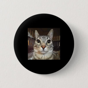 Macaron Rond 5 Cm Mème de chat à mât à mâcher
