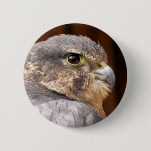 MACARON ROND 5 CM MERLIN FALCON OISEAU DE PREY