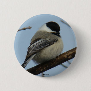 Macaron Rond 5 Cm Mésange B21