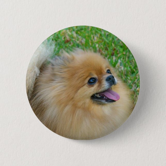 Macaron Rond 5 Cm Mignon comme bouton blond (Devant)