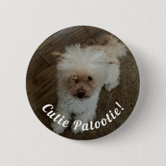 Macaron Rond 5 Cm Mignon tout plein