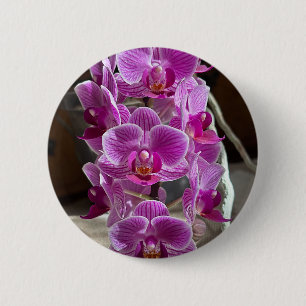 Macaron Rond 5 Cm Mini Phalaenopsis Sogo Vivien Orchidée violet