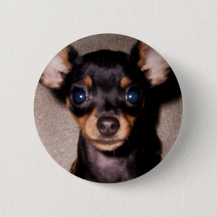 Macaron Rond 5 Cm mini pinscher.